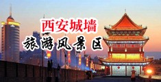 日韩老女人阴穴中国陕西-西安城墙旅游风景区